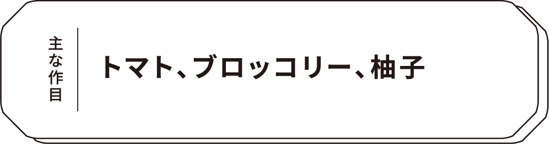 主な作目