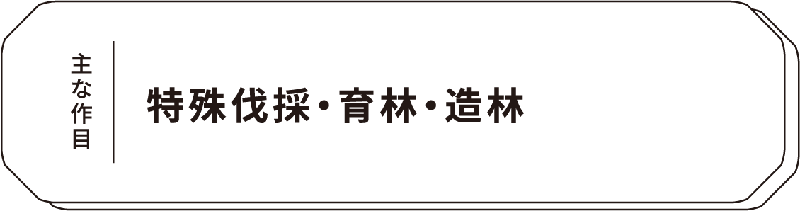 主な作目