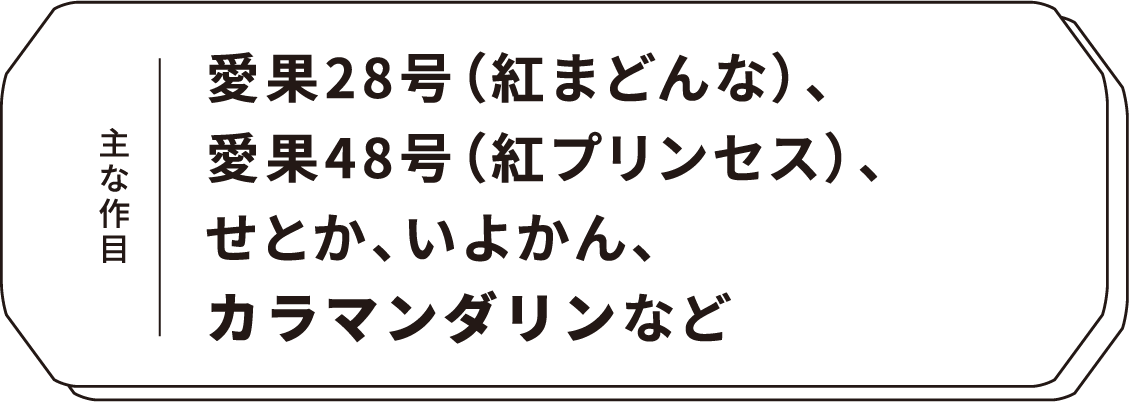 主な作目