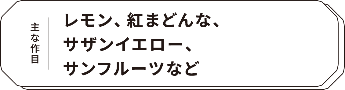主な作目