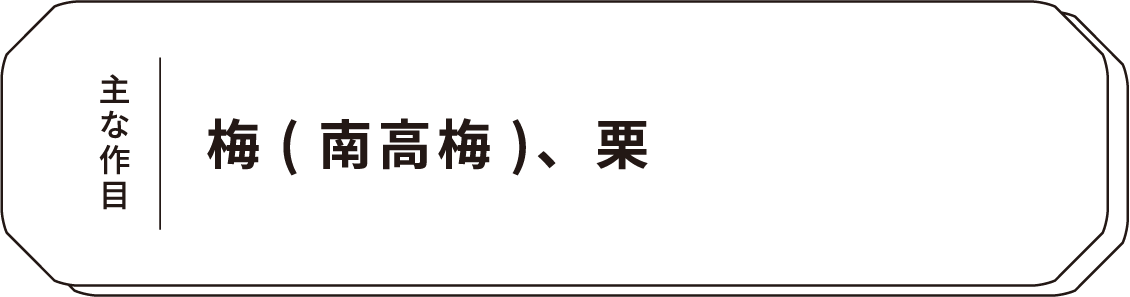主な作目