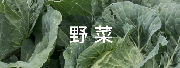 野菜