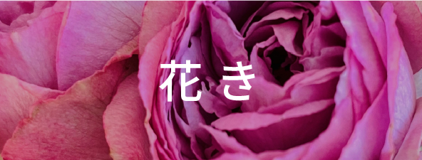 花き