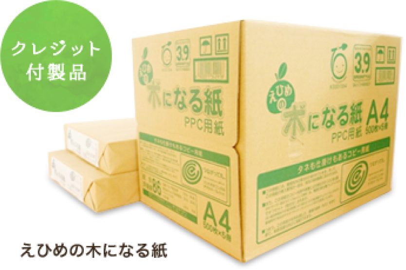えひめの木になる紙