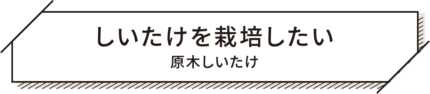 しいたけを栽培したい