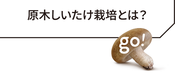 原木しいたけ栽培とは？