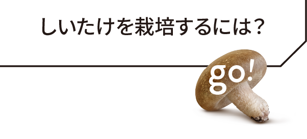 しいたけを栽培するには？