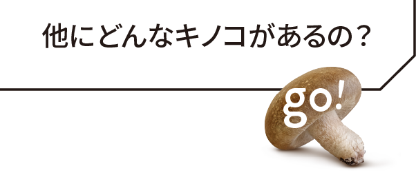 他にどんなキノコがあるの？