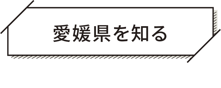 愛媛県を知る