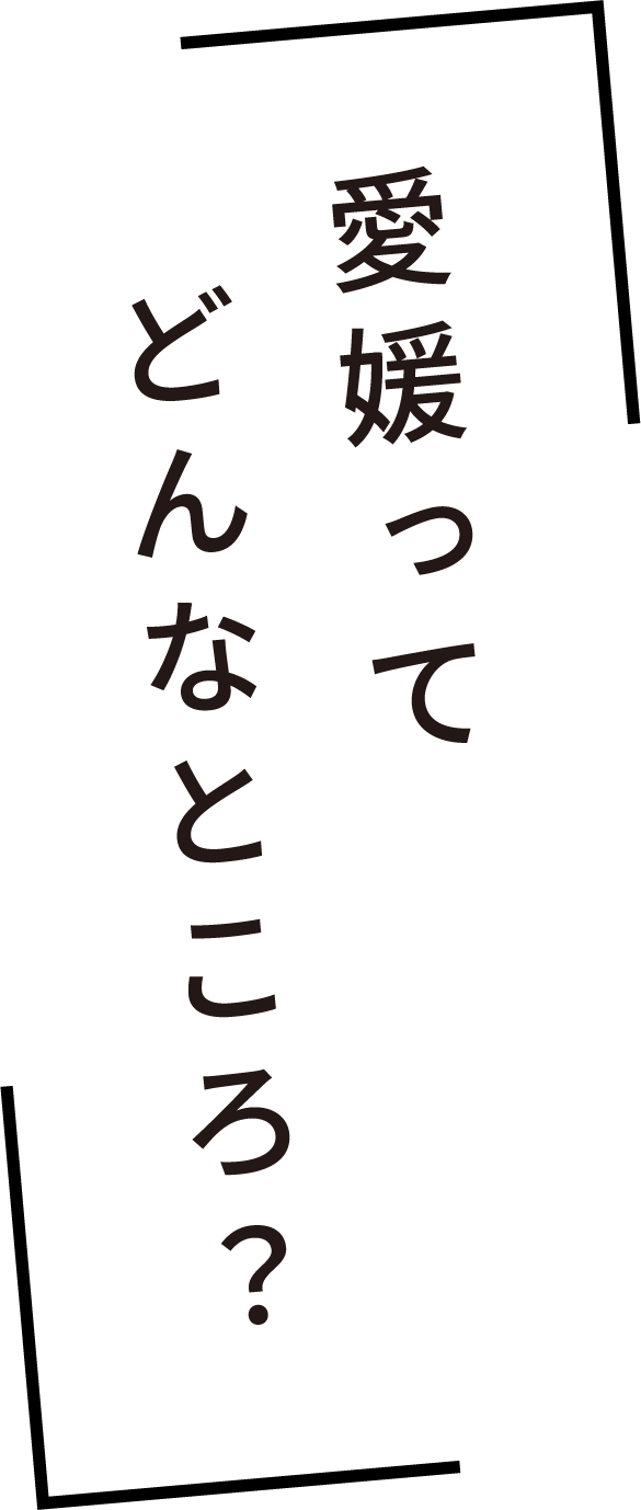 愛媛ってどんなところ？