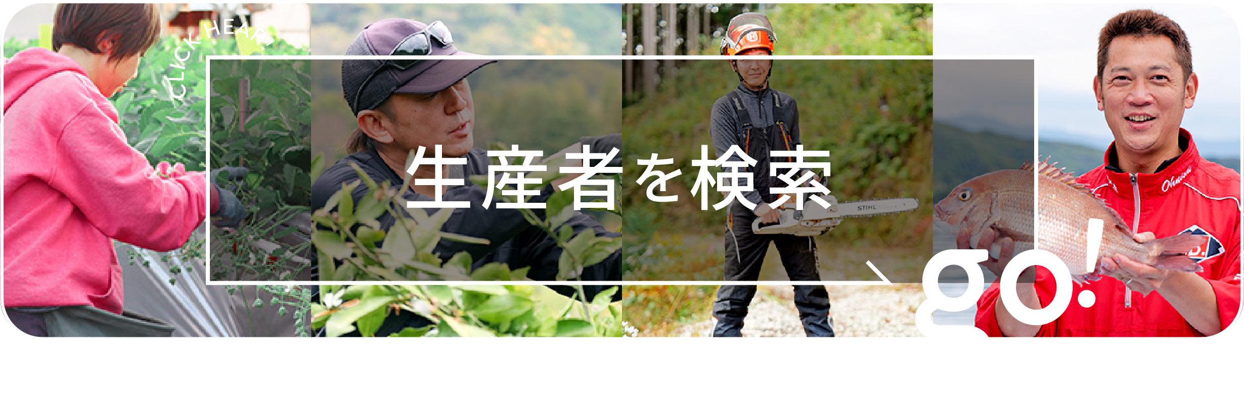 生産者を検索