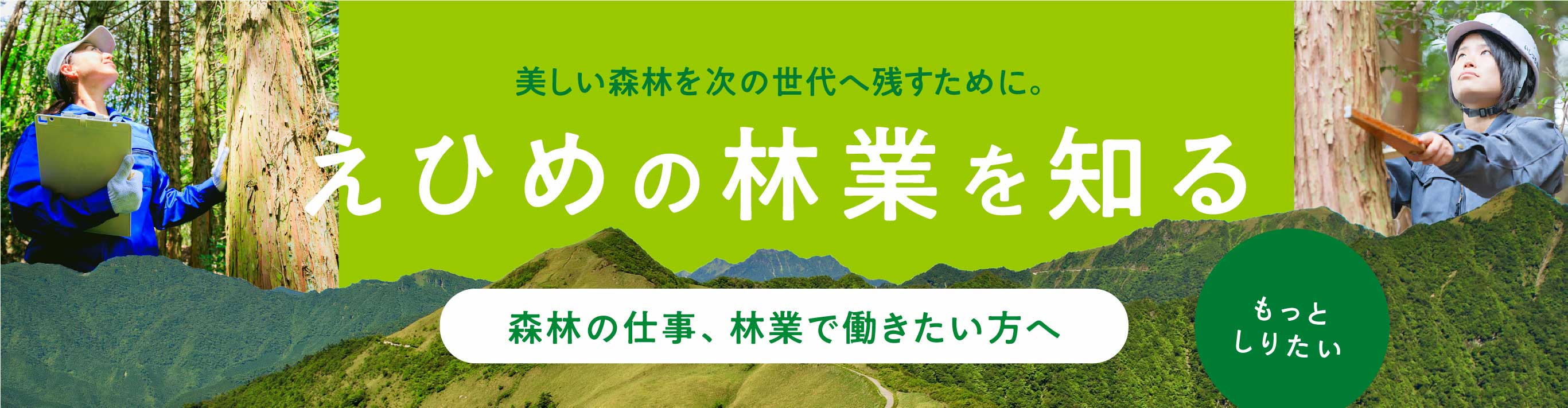 えひめの林業を知る