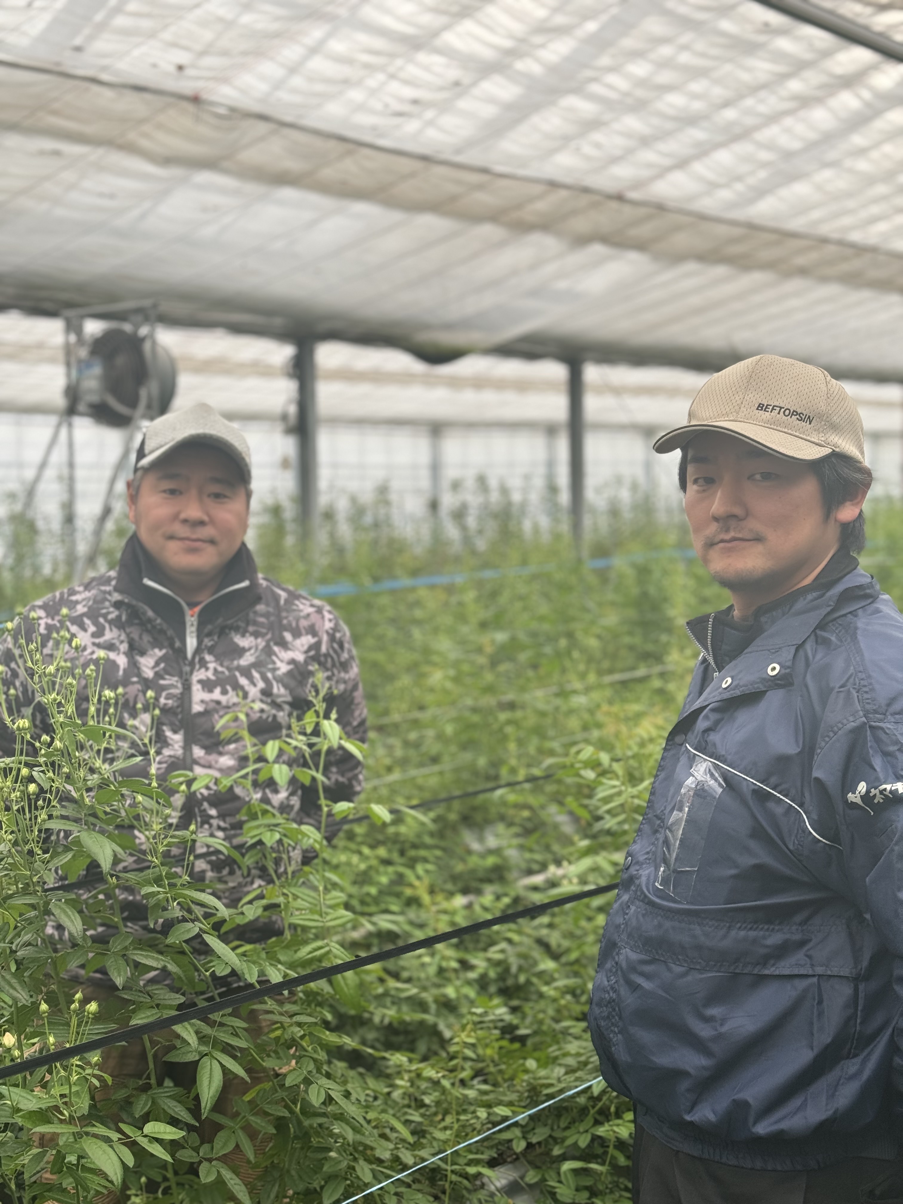 佐伯彰則、佐伯勇輔