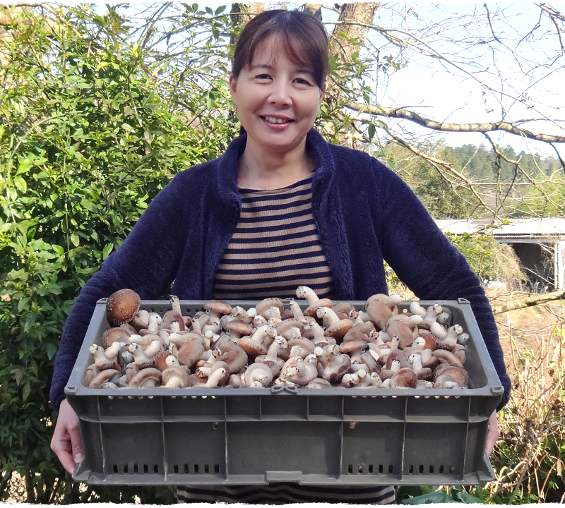 宮部 由起子