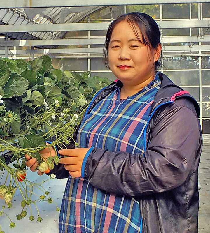 坂本 真子