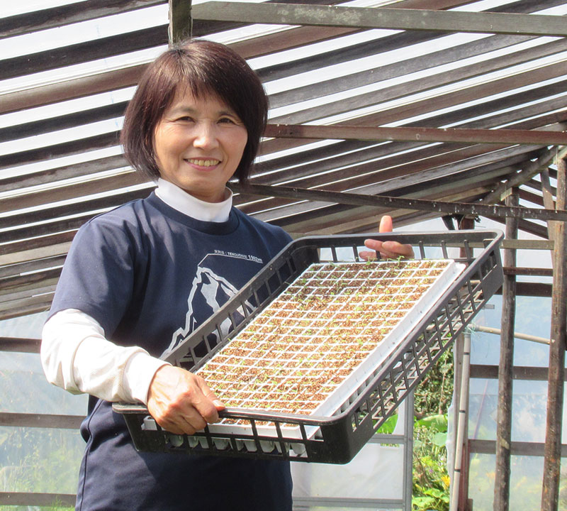 森本 里美